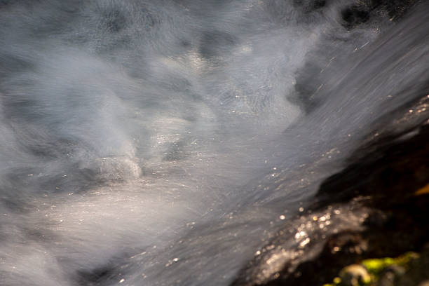Draining water from the Kowloon Reservoir at Kam Shan Country Park
