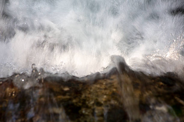 Amami Oshima, the Water Island