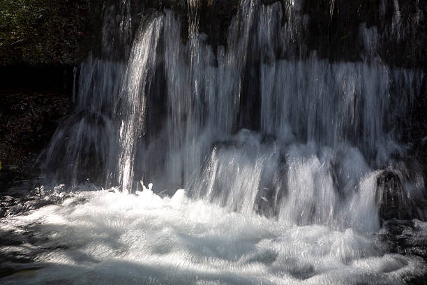 istock Amami Oshima, the Water Island 2251075784