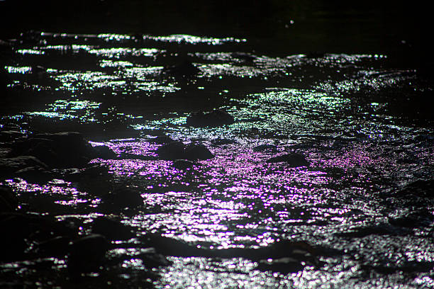 Amami Oshima, the Water Island
