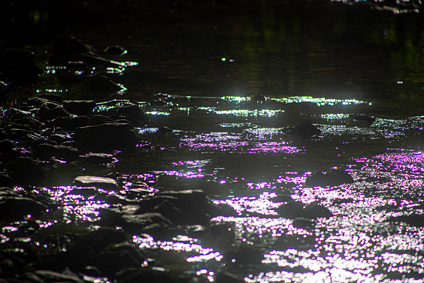 istock Amami Oshima, the Water Island 2251076898