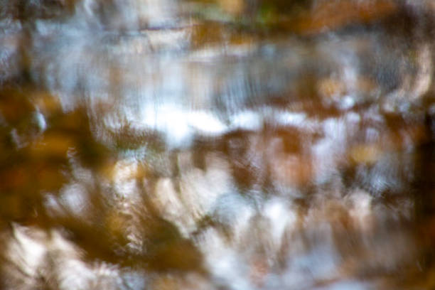 Detail of little clean creek structure texture