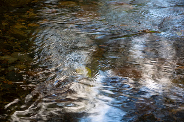 Fast flowing, crystal clear mountain water over colored stones that lie at the bottom of this mountain stream. The moving water surface and the flow of the stream distorts the underlying structures. The sunlight creates bright patterns.