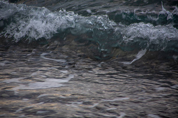Amami Oshima, the Water Island