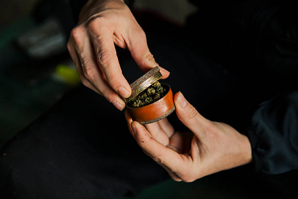 istock A man's hands closing a grinder to prepare a marijuana cigarette 2251080086