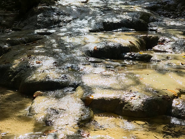 istock Sunlit Water Flow Over Textured Stone in Forest Creek 2251081812