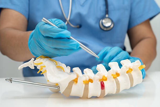 istock Asian doctor holding spinal nerve and bone model. 2251096861