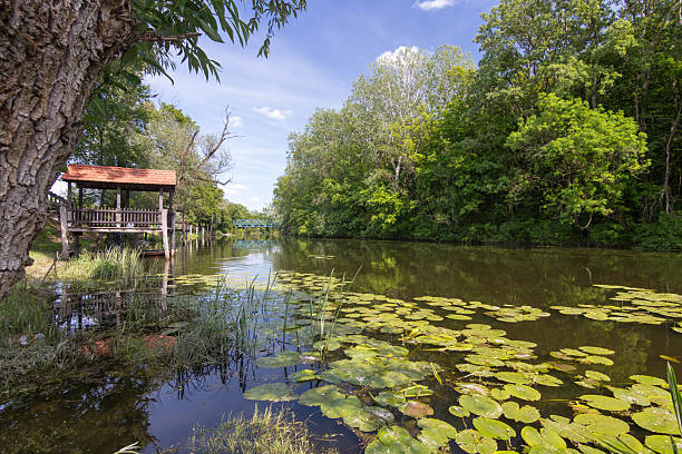 A scenic riverside view showcasing a peaceful setting with greenery, a serene water body, and a wooden gazebo blending with nature.