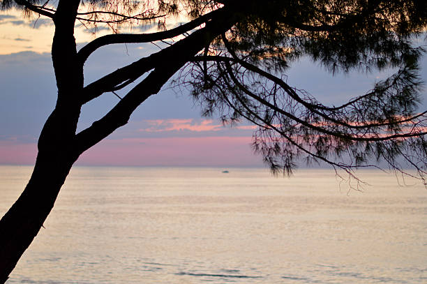sunset by the sea