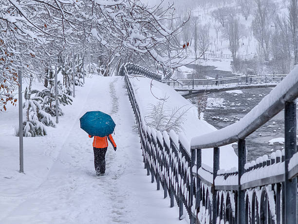 istock a city park during a snowfall in December 2251105005