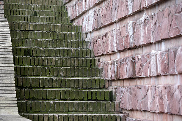 istock Worn steps lead up alongside a rugged stone wall covered in moss 2251112632