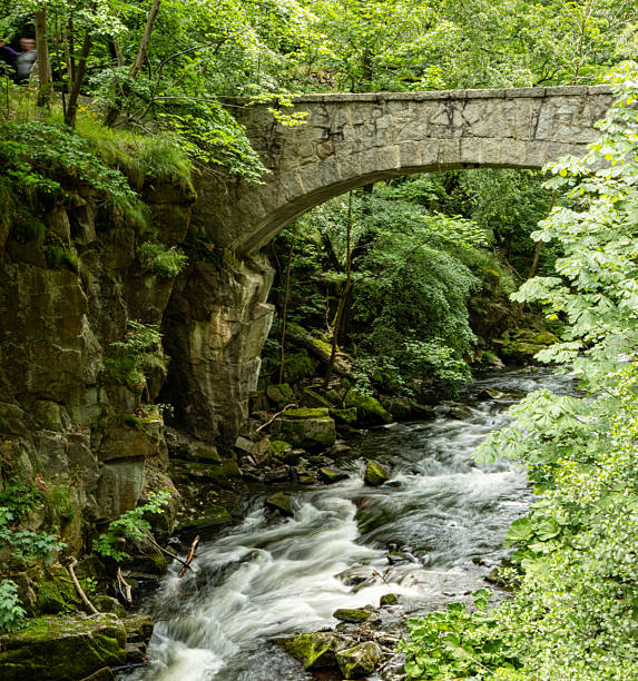 alte Steinbrücke in der wilden Natur im Bodetal Harz