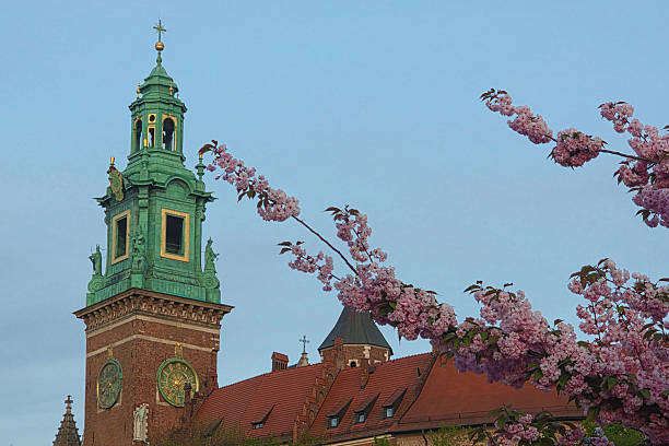 istock Wawel castle cathedral and sakura, Krakow, Poland 2251117505