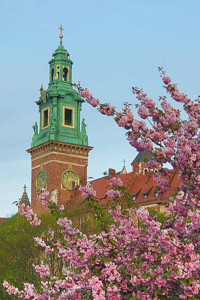 istock Wawel cathedral and sakura, Krakow, Poland 2251117513