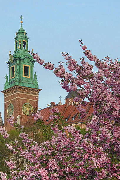 istock Wawel cathedral and sakura, Krakow, Poland 2251117566