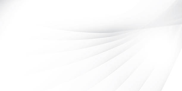 istock Abstract  white and gray color, modern design stripes background with geometric round shape. Vector illustration. 2251118690