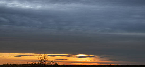 istock Vibrant sunset illuminates the horizon over a tranquil landscape with dark clouds and a solitary tree in the foreground 2251121458