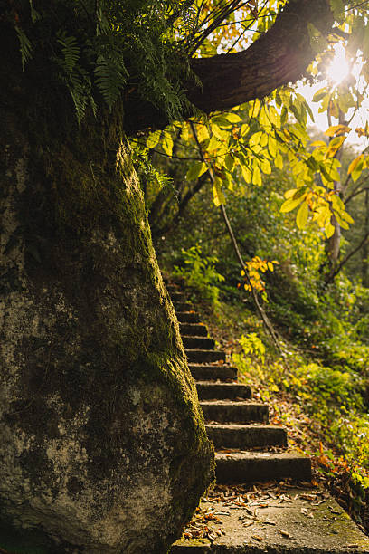 istock a stone staircase strewn with dry autumn leaves 2251122152