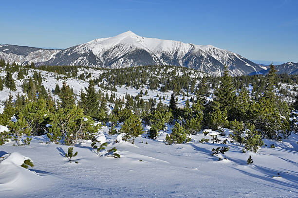 istock Schneeberg mountain peak and pine trees in winter landscape 2251127212