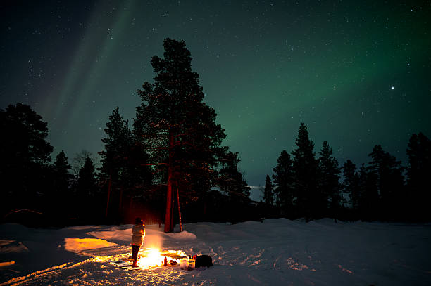 istock Aurora Borealis Dancing Across Arctic Night Sky 2251147752