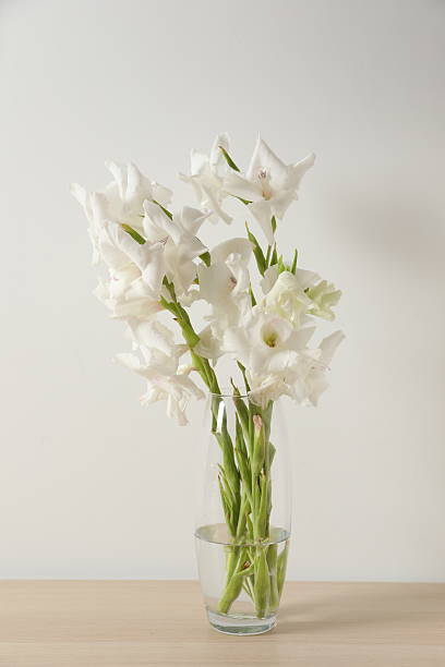istock White gladiolus in a vase on the table 2251150777