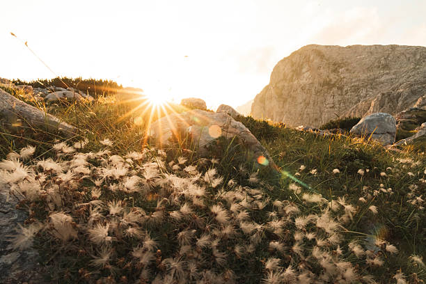 The most beautiful summit cross in the Alps at sunrise - Aerial view of Nationalpark Berchtesgaden with Watzmann in background