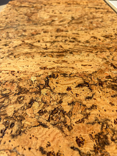 istock Cork veneer with dark veins and subtle sheen 2251156082