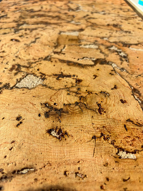 istock Cork veneer macro with glossy pores and specks 2251156087