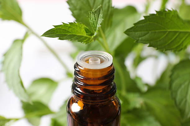 istock Mint extract essential oil. nature green. 2251162851