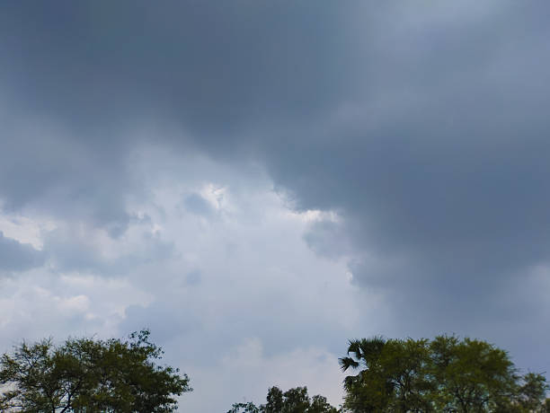 istock Stormy Sky Looming Over the Green Tree Tops 2251166427