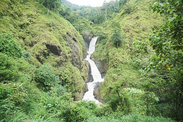 istock Majestic multi–tier waterfall flowing through lush green cliffs in a tropical rainforest. 2251166501