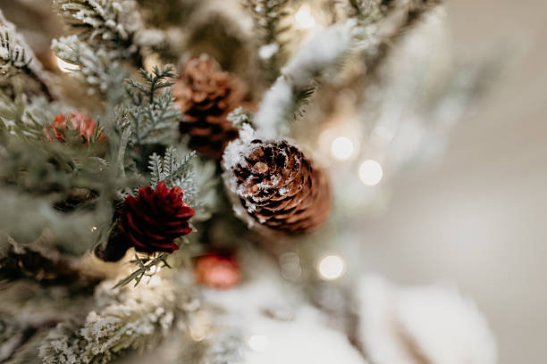 istock Snow-Dusted Pinecones on Frosted Christmas Tree Close-Up 2251170027