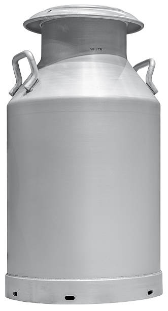 istock Gray aluminium milk can isolated on white background with clipping path 2251173871