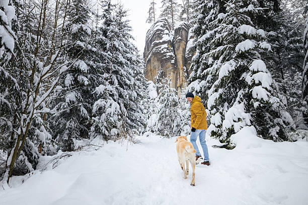 istock Man walking with dog on snowy footpath in snowy forest 2251176398