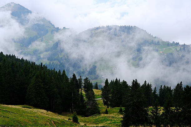 istock conifer forest, and misty hillsides in Mount Rigi range on cloudy day 2251176667
