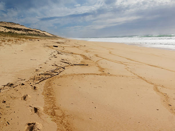 Photo of an empty beach in the Alentejo district, South of Portugal.