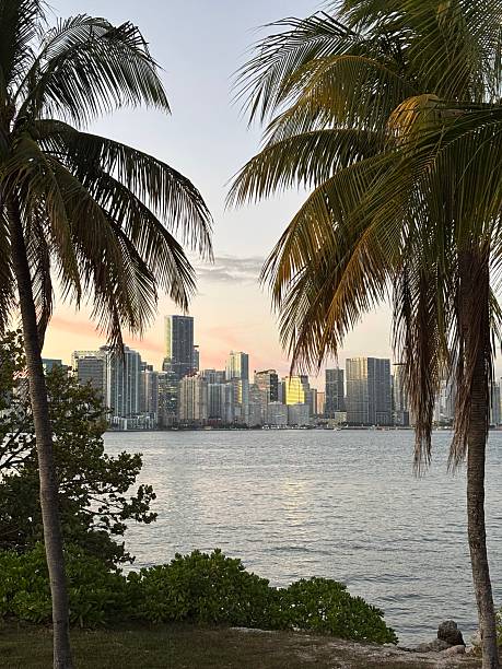 istock Miami Sunset City View 2251179144