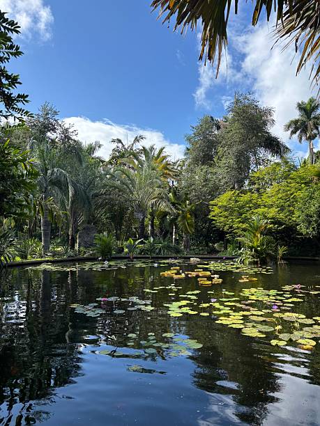 istock Miami Beach Botanical Garden 2251179701