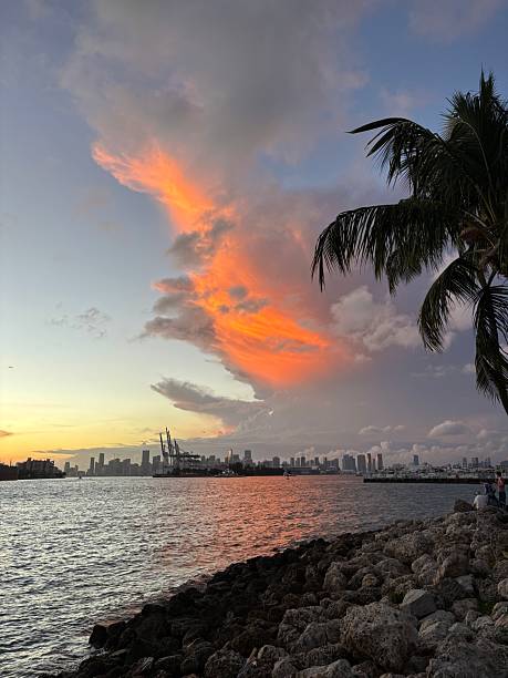 A stunning Miami sunset with vibrant orange, pink, and purple tones reflecting over the Atlantic Ocean. Gentle waves, palm tree silhouettes, and warm golden light create a peaceful, tropical atmosphere typical of Miami Beach evenings.