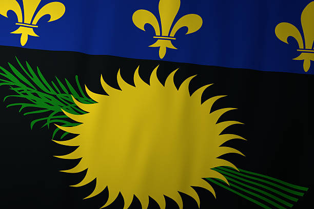 The image shows the flag of Guadeloupe, displaying a stylized golden sun with radiating spikes above crossed green sugarcane leaves on a black field. The top blue band features three yellow fleur-de-lis, symbolizing historical French influence.