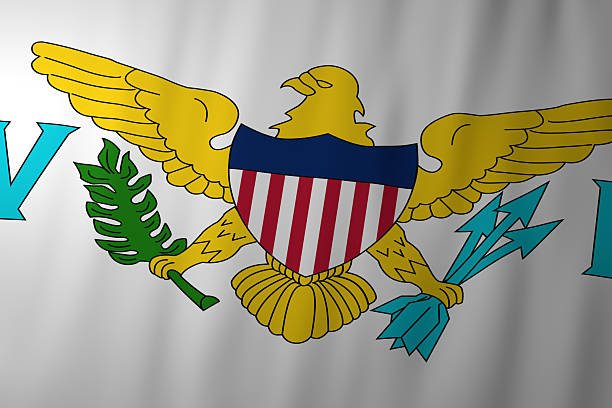 The image shows the flag of United States Virgin Islands, featuring a golden eagle holding an olive branch and three arrows. The shield on the eagle’s chest carries the red, white, and blue elements of the U.S. coat of arms, symbolizing the territory’s connection to the United States.