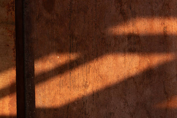 Detailed surface of old, oxidized wood with striking diagonal shadows and warm golden light. Suitable for grunge and vintage concepts.