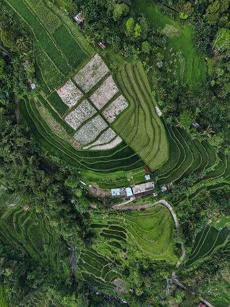 istock Elevated View Showing Winding Paths And Lush Layered Fields On Hillside 2251184830