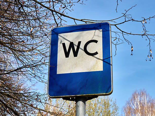 A square blue and white public toilet information sign (WC) mounted on a metal pole. The shot is taken from a low angle against a bright blue sky and bare tree branches, indicating a public utility in a park or city area.