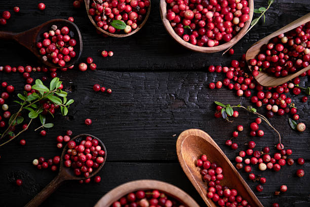 istock Lingonberries Rustic Food Background – Wild Berries Textured Backdrop 2251195308