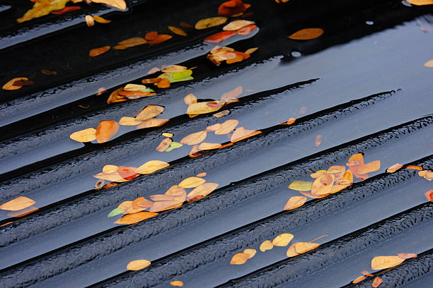 istock autumn leaves on the ground 2251195600