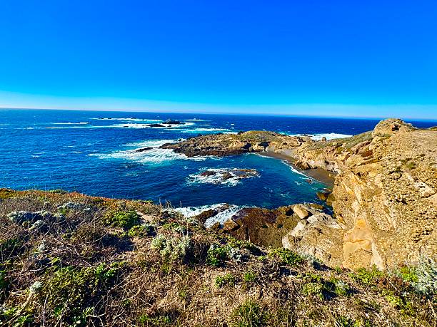 istock Point Lobos State National Reserve 2251198594
