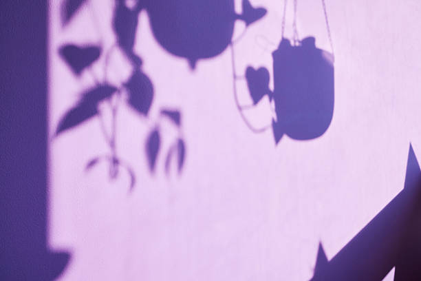 Shadows of hanging plants and light creating an abstract pattern on lavender wall.