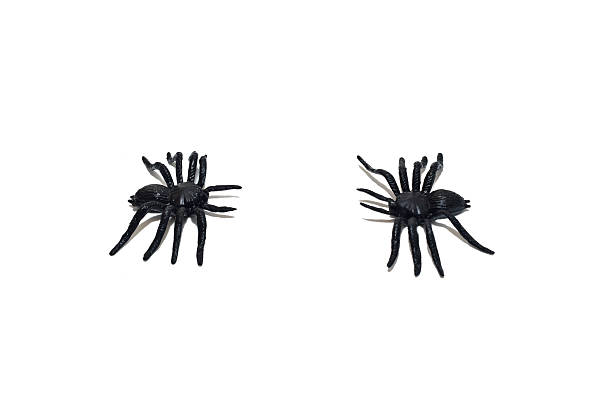 istock Children's toys, two black spiders. 2251198914