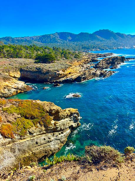 istock Point Lobos State National Reserve 2251199066